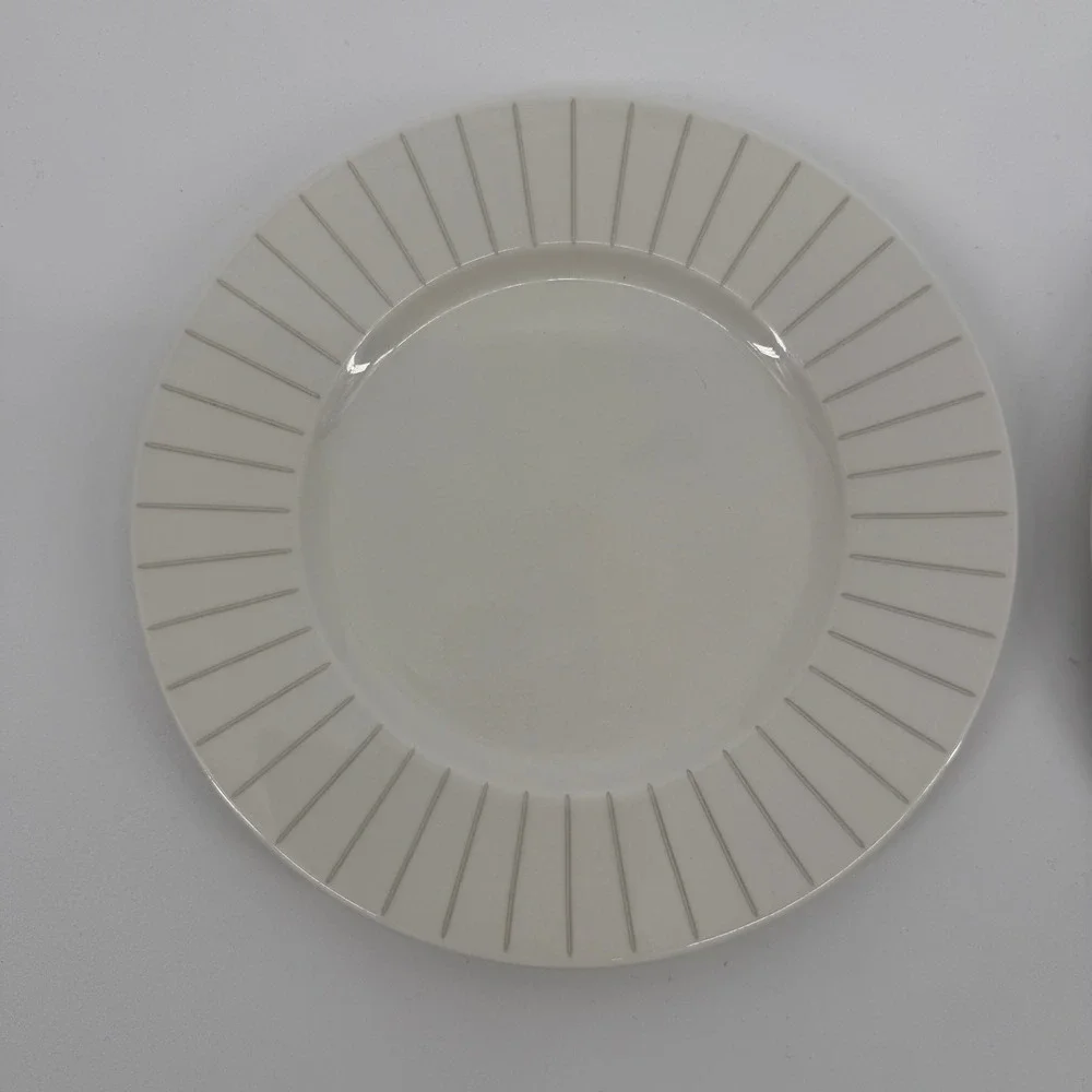 Mikasa Cheers Diamond White Fine China Plates HK278 Set of 2 Oven to Table